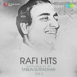 Rafi Hits Instrumental By Tabun Sutradhar Vol. 2 - Shyam Kumar Song Download